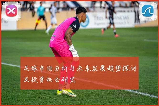 足球市场分析与未来发展趋势探讨及投资机会研究